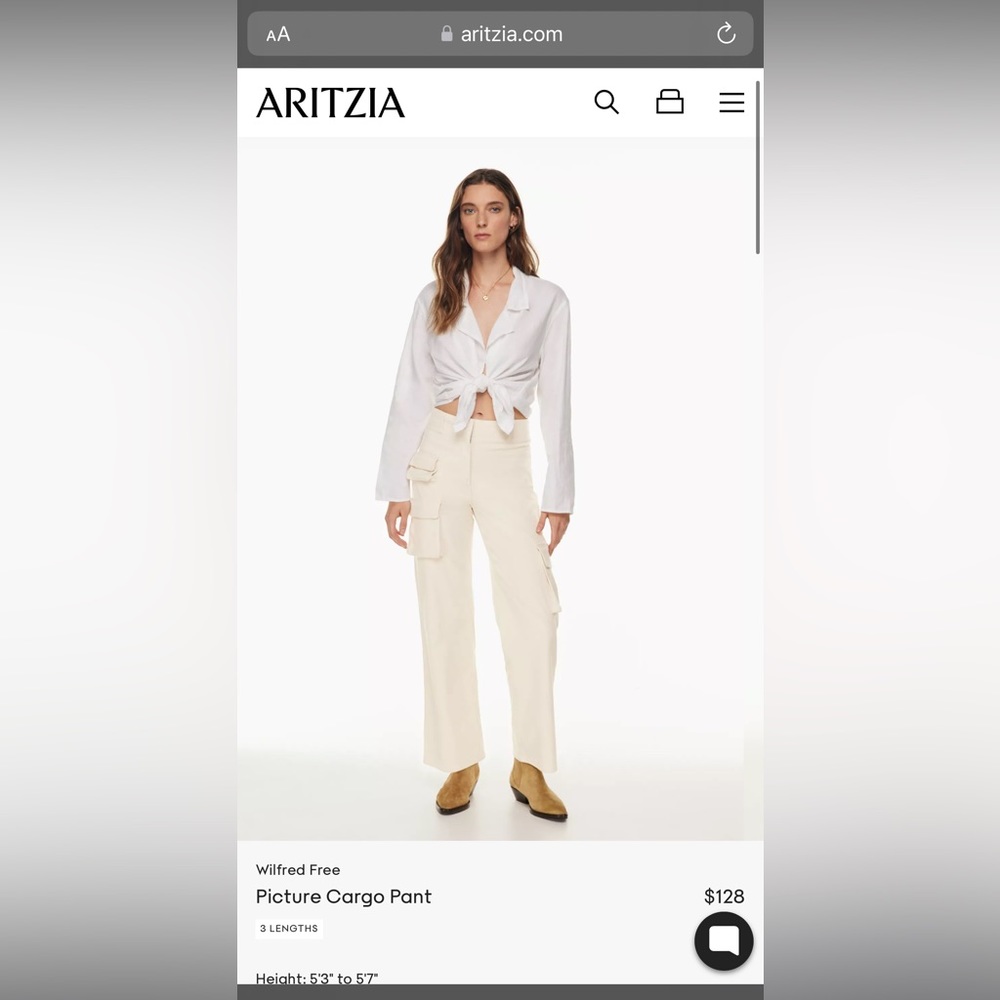 Aritzia picture cargo pant